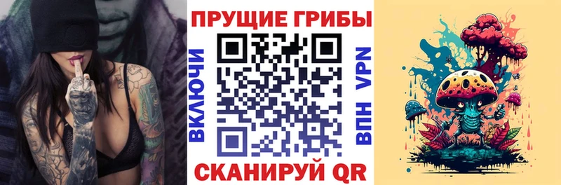 Псилоцибиновые грибы GOLDEN TEACHER  цены наркотик  Шумиха 